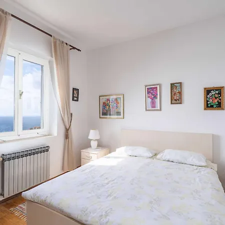 Apartment And Cicko